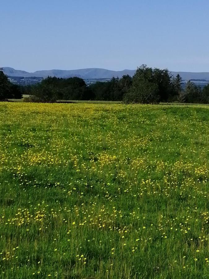 District And Eden Valley Thornhill *