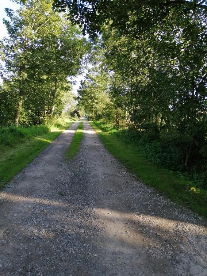 Lodge District And Eden Valley Thornhill